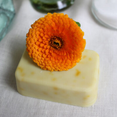 Calendula