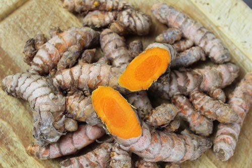 Curcuma